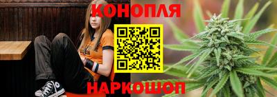гидропоника Будённовск