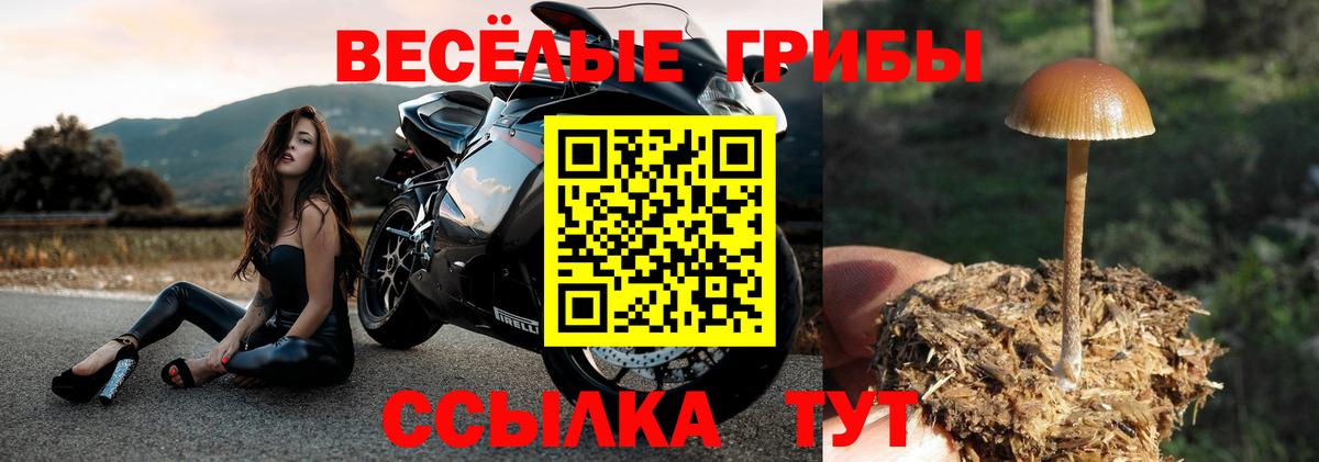 Псилоцибиновые грибы прущие грибы Мичуринск