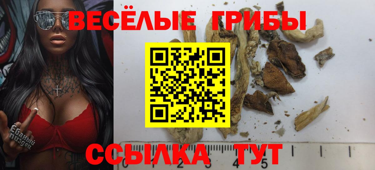 Псилоцибиновые грибы прущие грибы  Вход с VPN  Мичуринск 